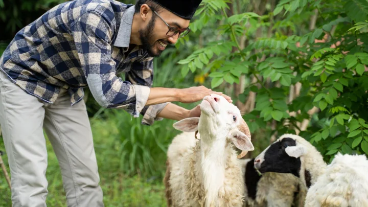 Tujuan Aqiqah dan Qurban Untuk Umat Islam