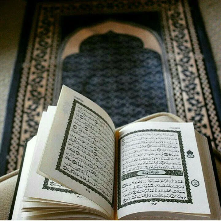 7 Alasan dan Motivasi Menghafal Quran, Proyek Akhirat!