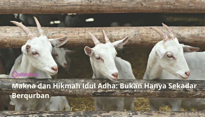 Makna dan Hikmah Idul Adha: Bukan Hanya Sekadar Berqurban