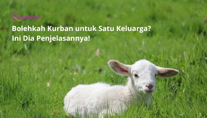 Bolehkah Kurban untuk Satu Keluarga? Ini Dia Penjelasannya!