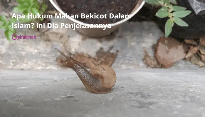 Apa Hukum Makan Bekicot Dalam Islam? Ini Dia Penjelasannya