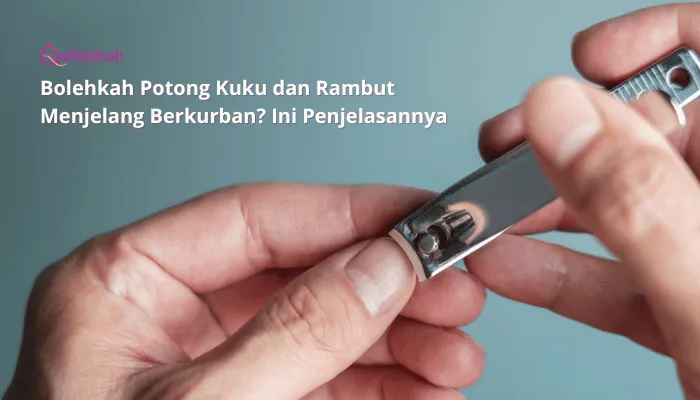 Bolehkah Potong Kuku dan Rambut Menjelang Berkurban? Ini Penjelasannya